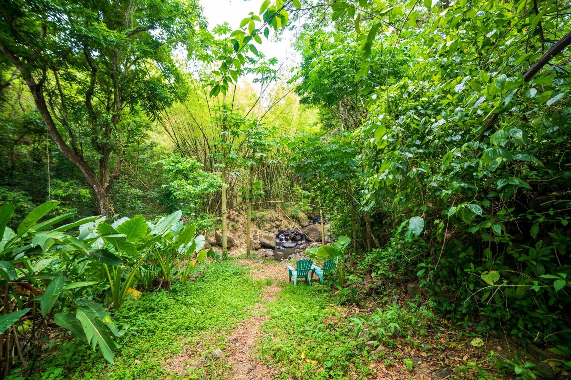 Martinique Treehouse Villa Canton Suisse Exterior photo