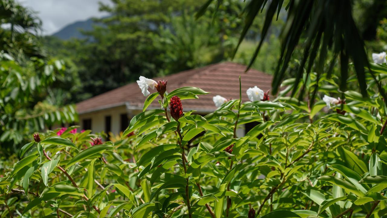 Martinique Treehouse Villa Canton Suisse Exterior photo