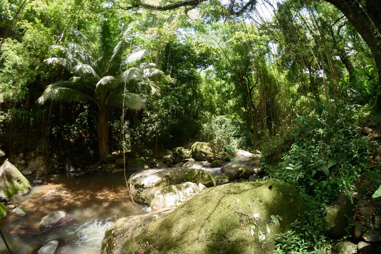 Martinique Treehouse Villa Canton Suisse Exterior photo
